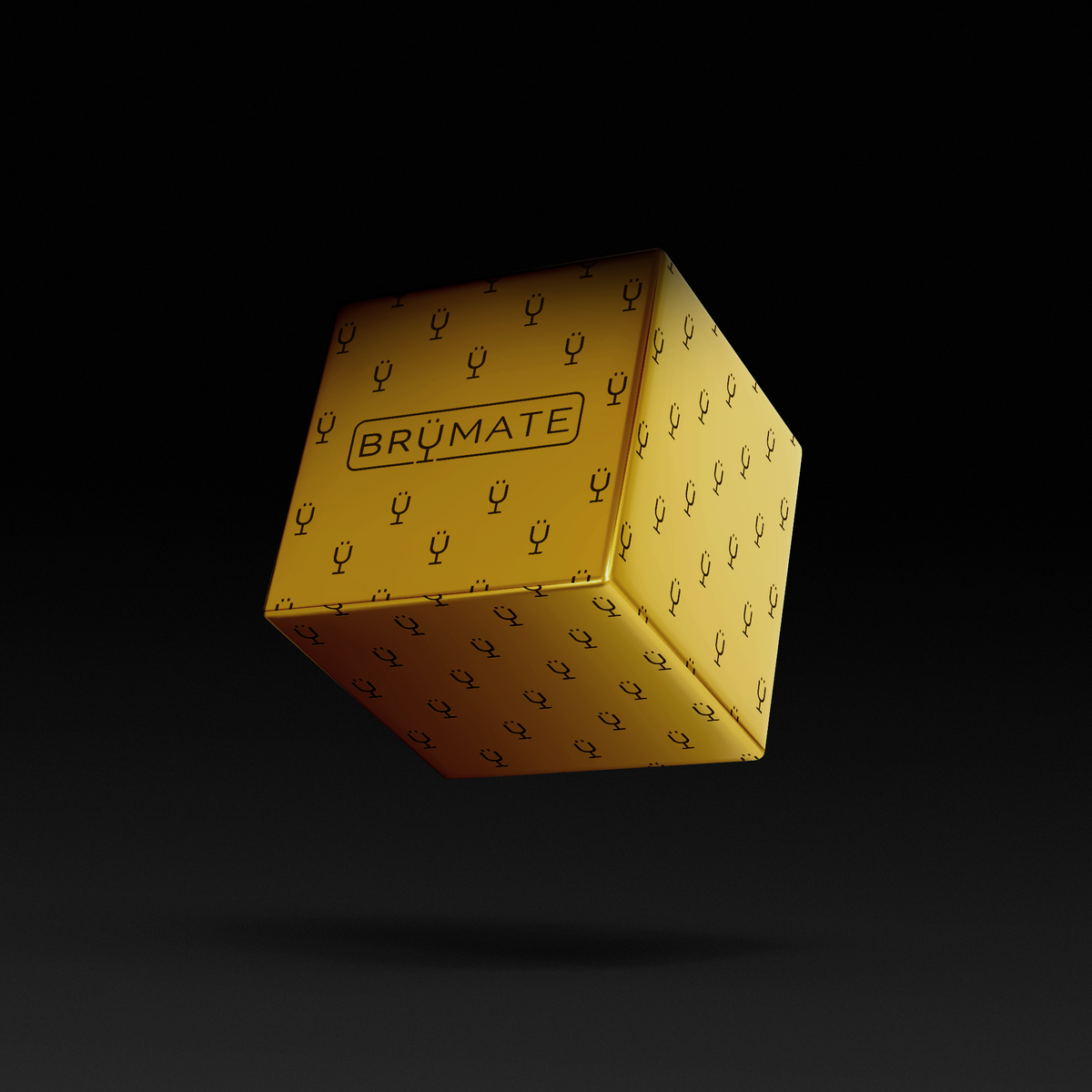 premium-mystery-item-39-70-value-x9 IMG-1548.png